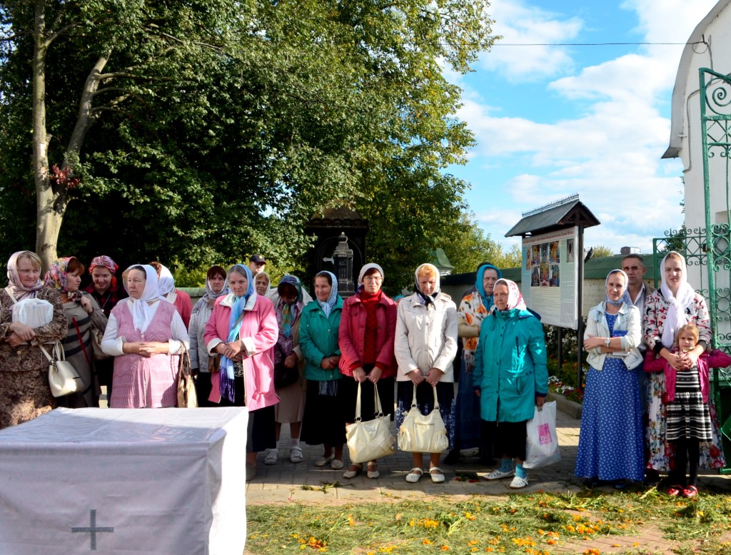 Осадки запрудня. Осадки запрудня